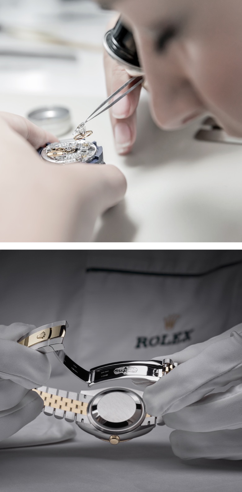 A voyage into the world of Rolex - Rolex Boutique Sentosa