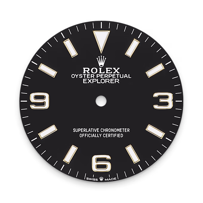 Rolex Explorer Yellow Rolesor - combination of Oystersteel and yellow gold M124273-0001 - Rolex Boutique Sentosa