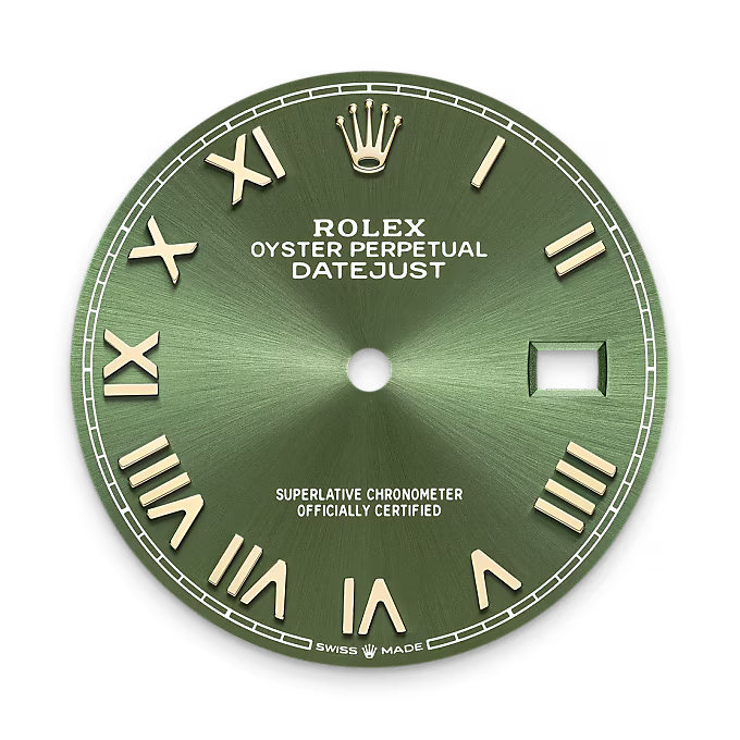 Rolex Datejust Yellow Rolesor - combination of Oystersteel and yellow gold M126283RBR-0039 - Rolex Boutique Sentosa