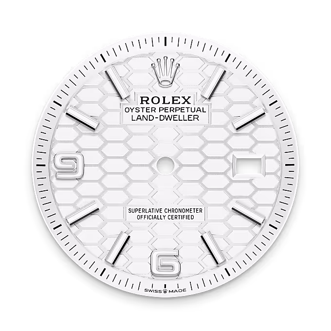 Rolex Land-Dweller White Rolesor - combination of Oystersteel and white gold M127234-0001 - Rolex Boutique Sentosa