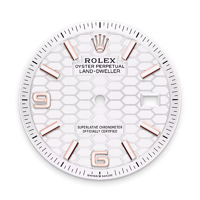 Rolex Land-Dweller 18 ct Everose gold M127235-0001 - Rolex Boutique Sentosa