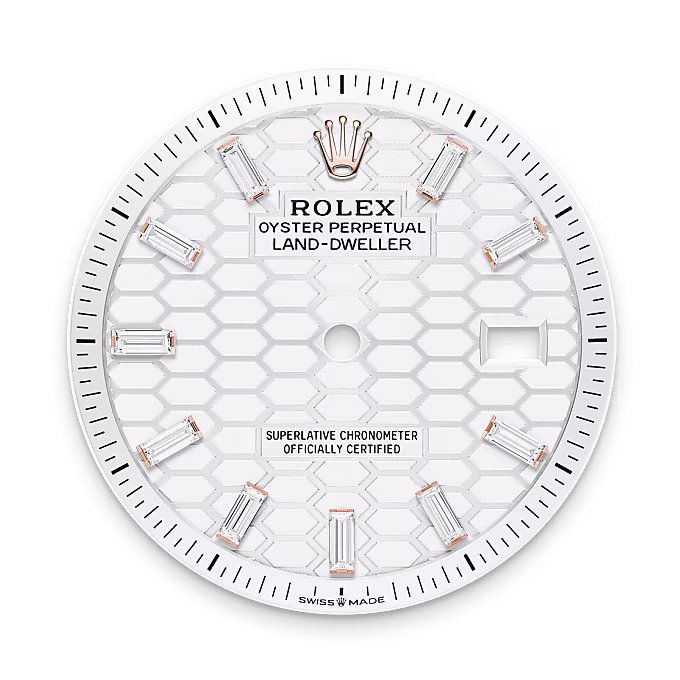 Rolex Land-Dweller 18 ct Everose gold M127285TBR-0002 - Rolex Boutique Sentosa
