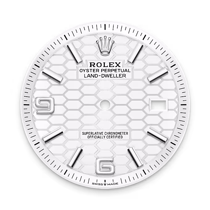 Rolex Land-Dweller White Rolesor - combination of Oystersteel and white gold M127334-0001 - Rolex Boutique Sentosa