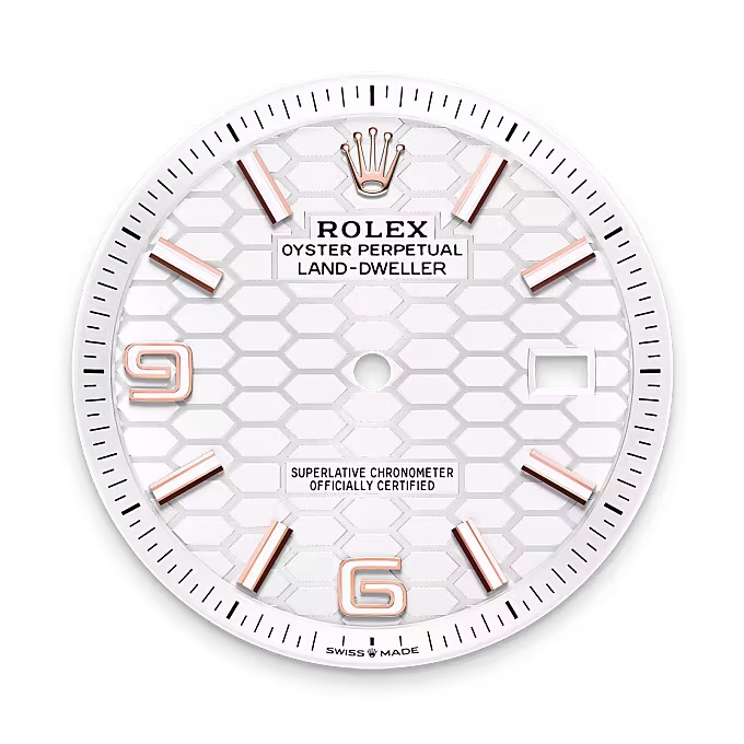 Rolex Land-Dweller 18 ct Everose gold M127335-0001 - Rolex Boutique Sentosa
