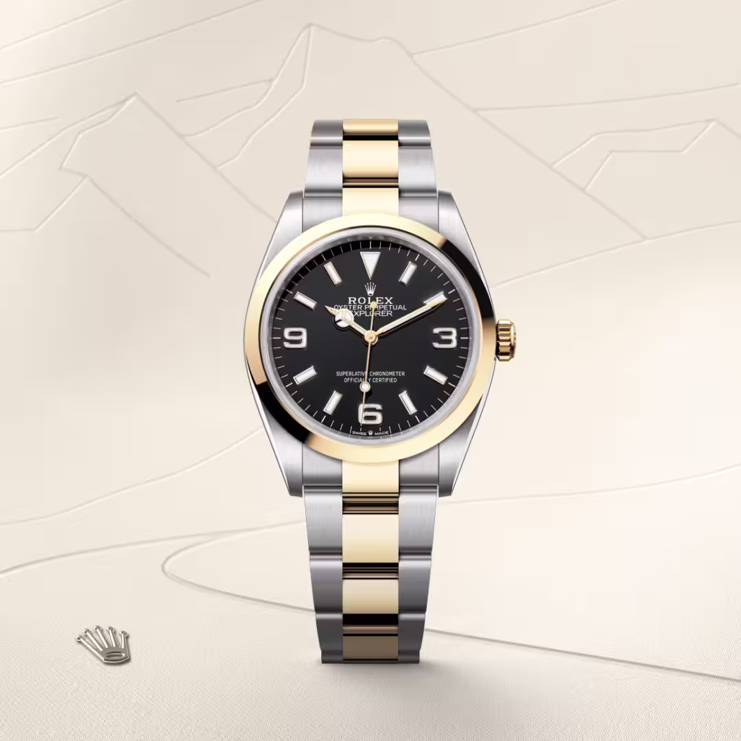 Rolex Explorer Yellow Rolesor - combination of Oystersteel and yellow gold M124273-0001 - Rolex Boutique Sentosa